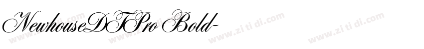 NewhouseDTPro Bold字体转换